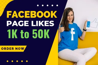 I will grow 1000 likes for your Facebook Fan Page